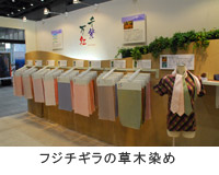photo_フジチギラの草木染め