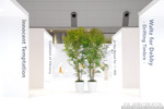 photo_jfw-jc_10ss_007