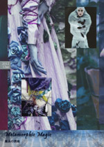 photo_- Metamorphic Magic -