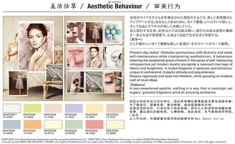 Aesthetic(- BI・KATSU - ) Behaviour