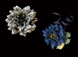 photo_RAKAM CO.,LTD.