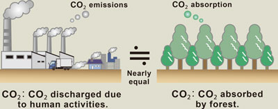 CO2 emissions・CO2 absorption