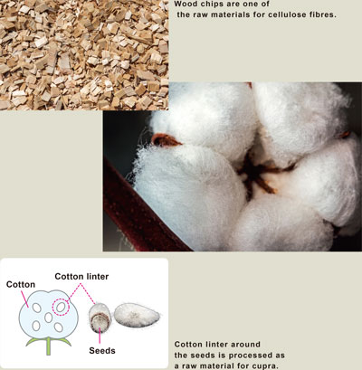 Wood chips are one of the raw materials for cellulose fibres.・Cotton linter around the seeds is processed as a raw material for cupra.