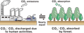 Bio-based chemical fibers/other low impact processes and techniques