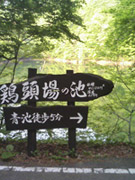 写真＿白神山地は広い
