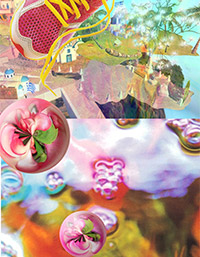 photo_Virtual Tour