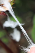 photo_01_03