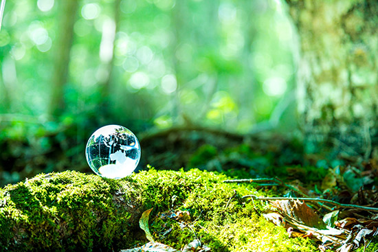 Sustainable Image